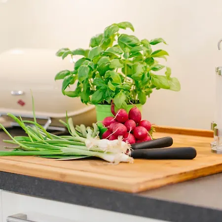 Stadthaus Дом отдыха