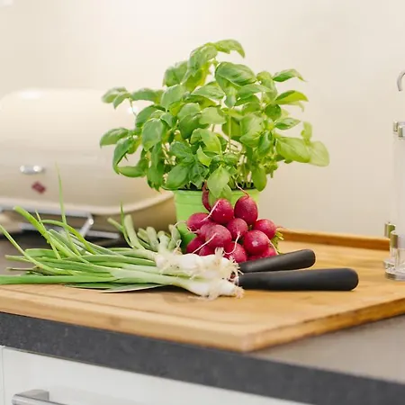 Дом отдыха Stadthaus