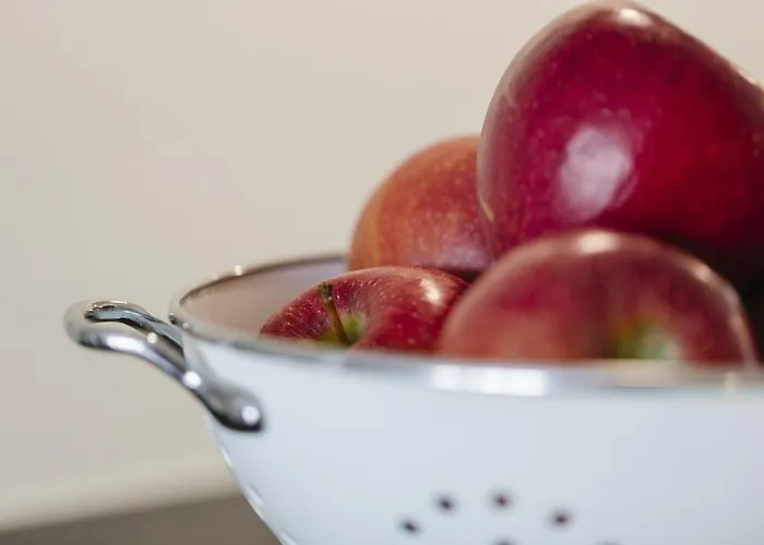 度假居 Stadthaus 雷根斯堡