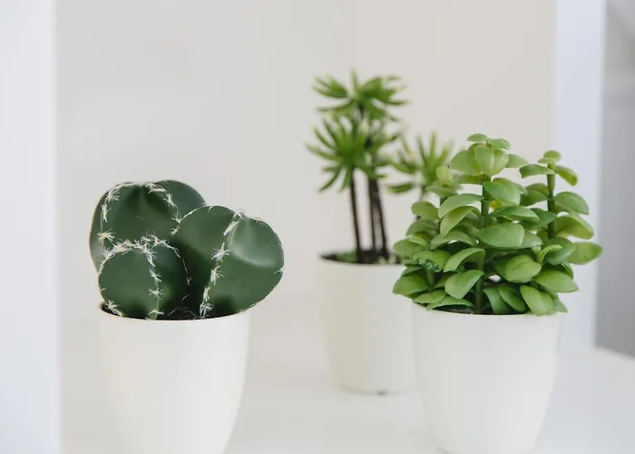 Stadthaus 雷根斯堡